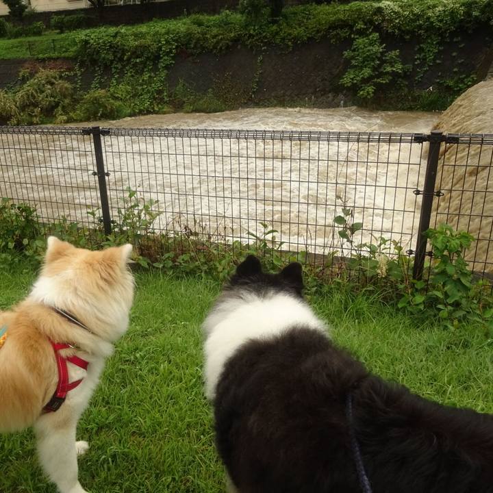 A6c185b8 c211 483b 8be7 452618e57e61 1599481175242