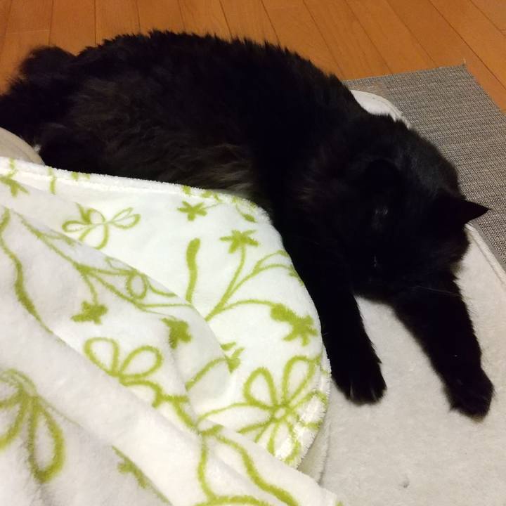 A6c18a94 54b8 4975 9a34 b602823f8222 1581420783709