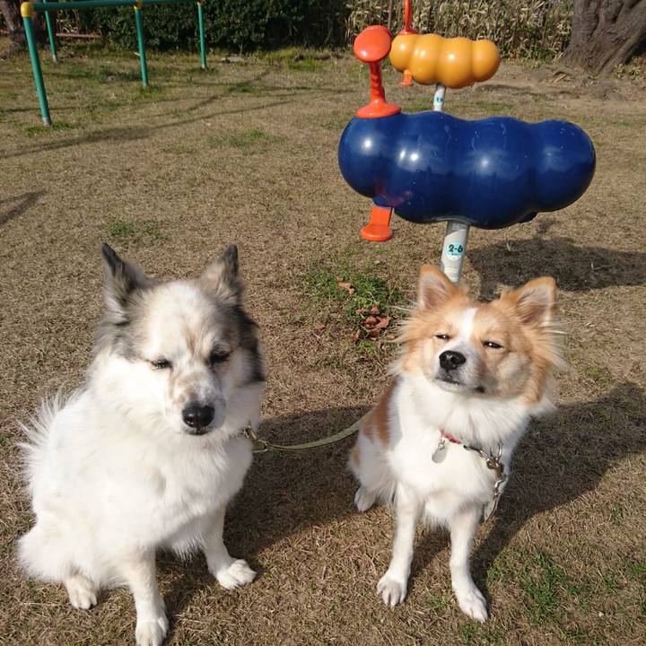 A6c195ce 57e2 49c9 9383 514efec8a6ef 1547816923339