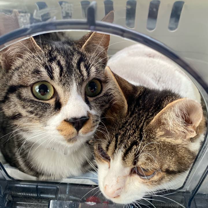 A6c1c694 e7fa 469c b99a defc1659e22a 1706398696838