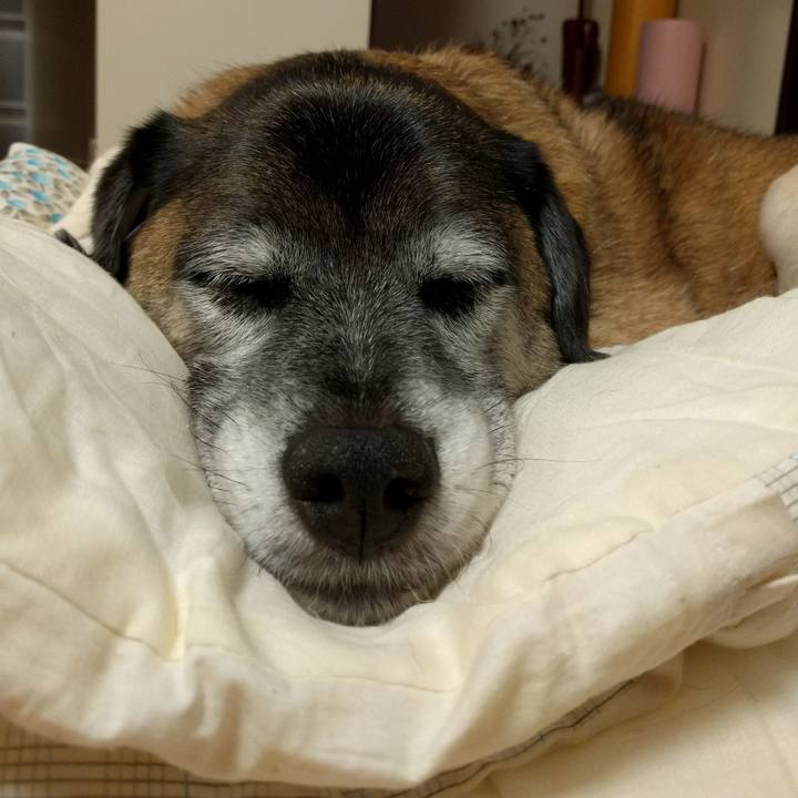 A6c1ce5b be41 4438 b4d7 f6e7393fb2fe 1507546925368