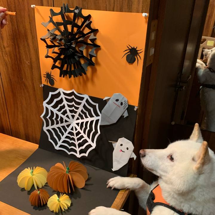 A6c1e69e 477e 40bc bc64 28fc60d041d7 1667216281223