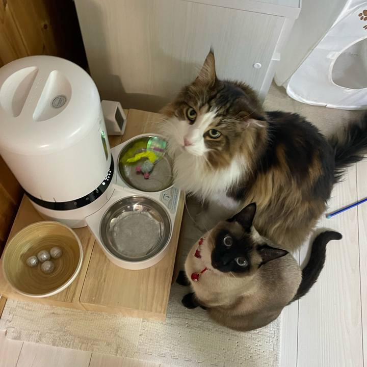 A6c1ee6f ac1a 42ba 8b3b 5a29f2f648e6 1741294466717