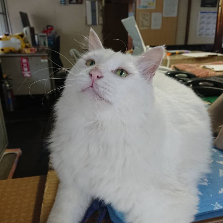 A6c20a05 5dfb 4e28 912b 788724330bf9 1563229618977