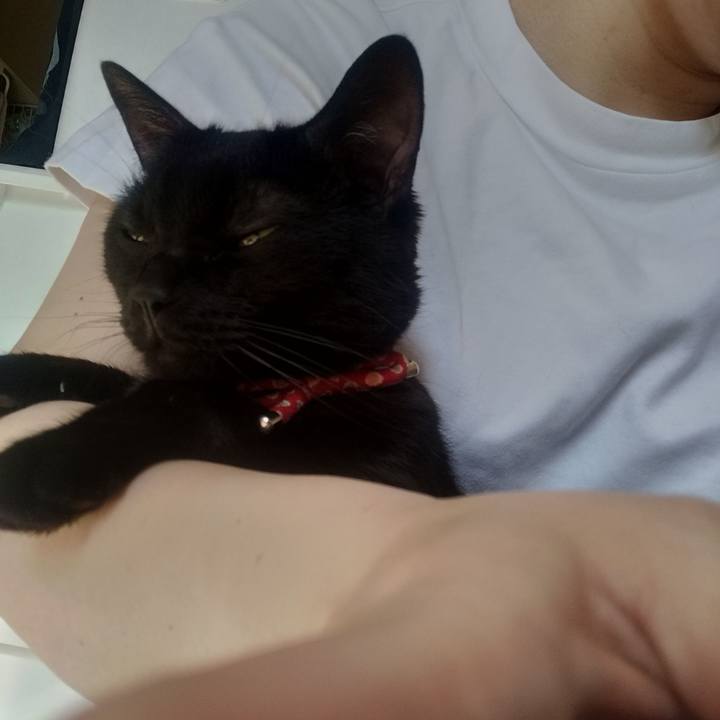 A6c20ce2 0a76 4b62 b785 6a354b1a3bbe 1681168548879