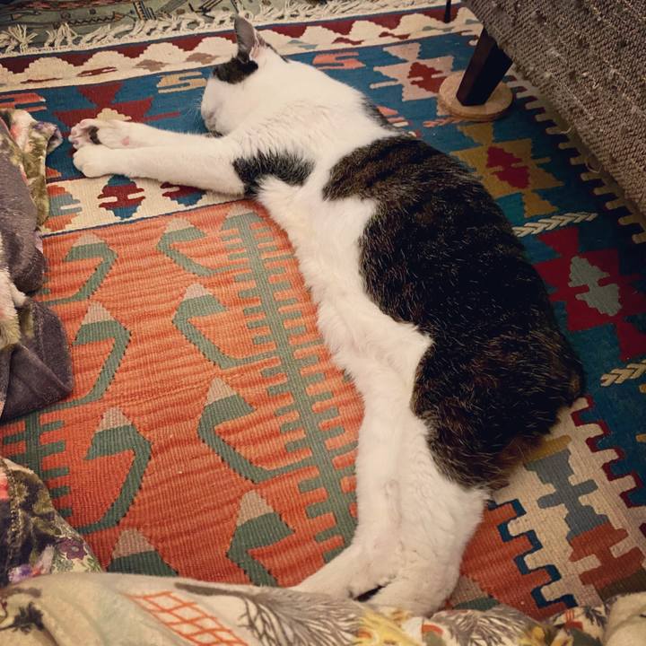 A6c20e60 9010 42d2 9c6b e4e4c9102264 1607265375191