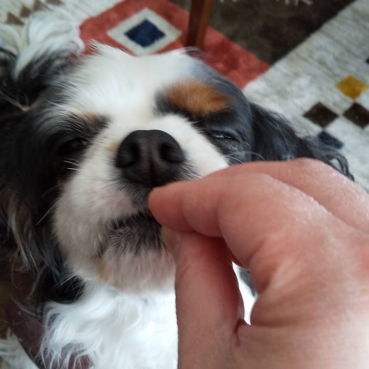 A6c24fdf 8c69 4329 abbc 8f6a59bdb0fe 1587271941801