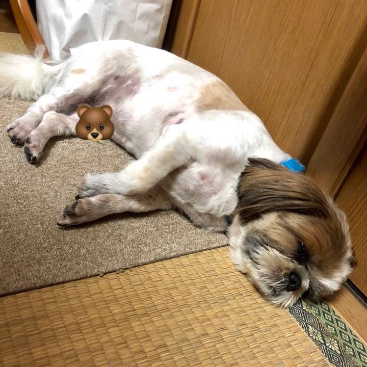 A6c27f0a e3ad 4446 bd1f 8751f3ee1f00 1530403680805