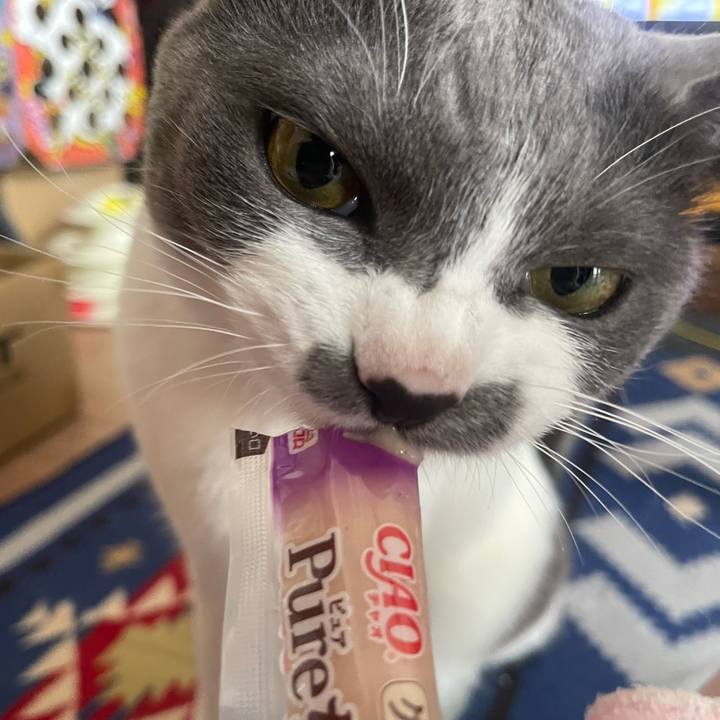 A6c29a0e bbbb 48c7 a3f9 ca3bf4aacdf9 1653028233819