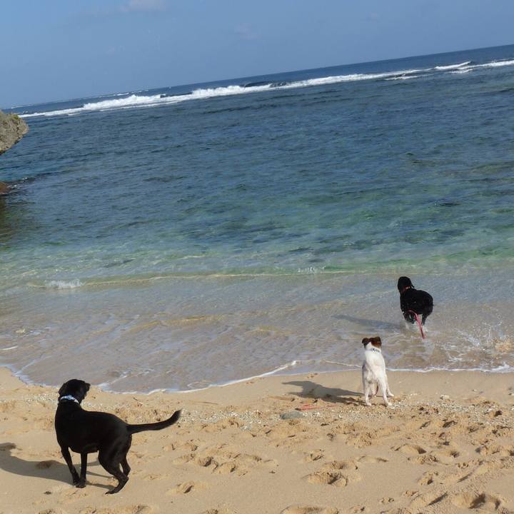 A6c29bfa 59b6 4dbd b1ac 4852b1552208 1531871554077