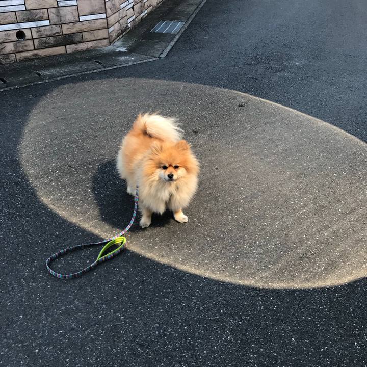 A6c2a321 80f6 479c 8e61 4fbd3e2fc5b2 1517400038223