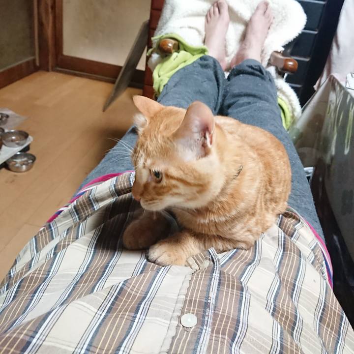 A6c2b11b 1bb8 4c51 9898 3e59125af6ec 1637662207290