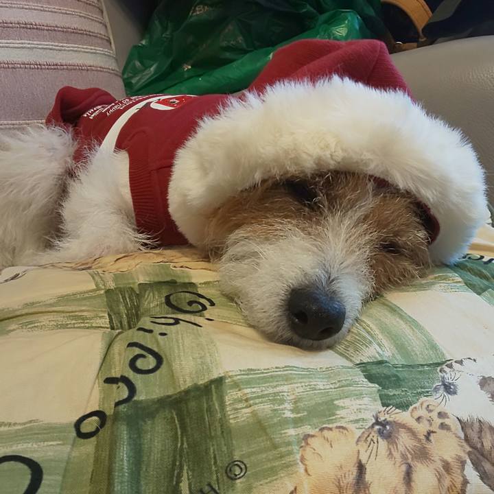 A6c2ba2f a8e0 4acd b3bc a831b2cdfd0f 1640328485781