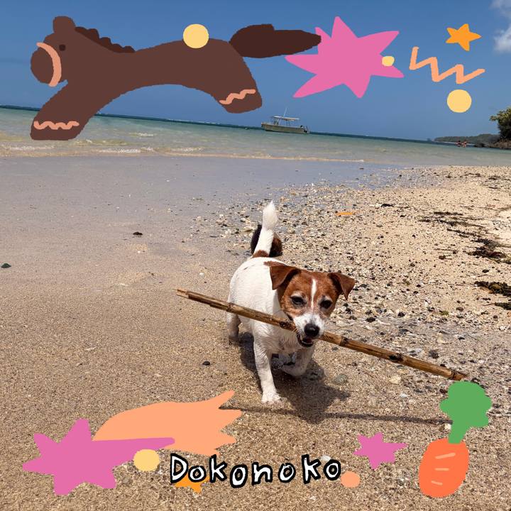 A6c2ceb4 73c2 45b7 806a 69afce3e0df9 1772443728241