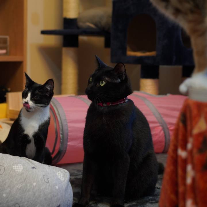 A6c314cd 53d3 49a6 b031 67207becf041 1580947575364