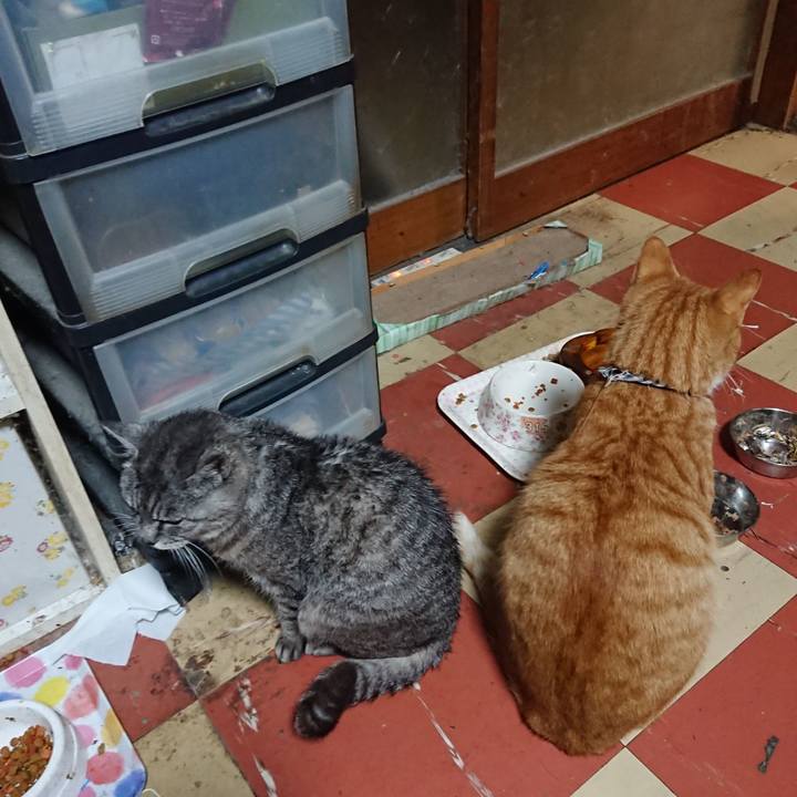 A6c332dc 0a8b 47c9 b0ec 74f7827805ae 1571993689585