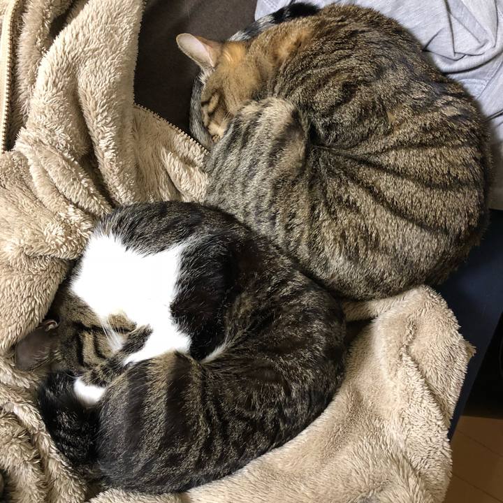 A6c3444c 1a7a 45d7 8f55 beb96d1bfd64 1515322937223