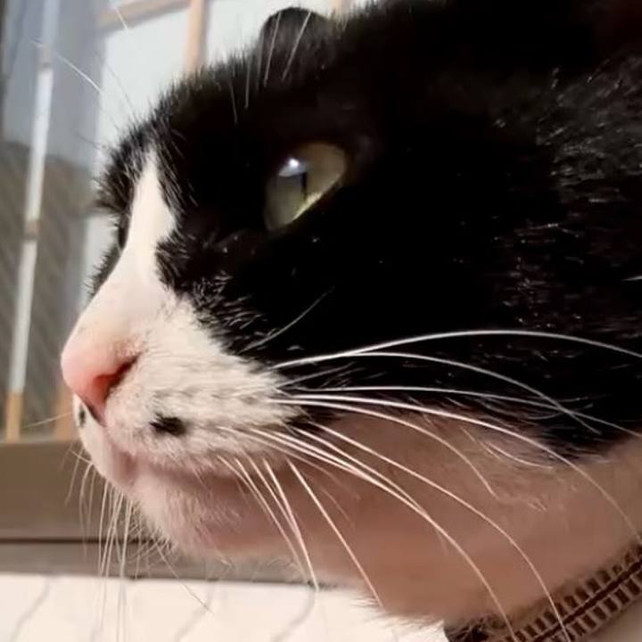 A6c354de 8080 45ad 9d91 5bfe1b0ce87d 1737514728389