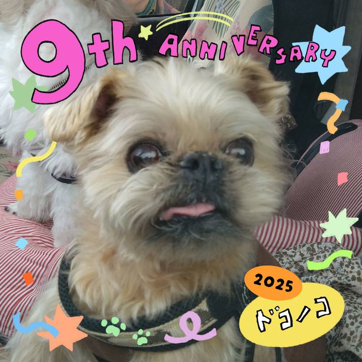 A6c36434 720a 456e b021 688602978b3a 1749280941199