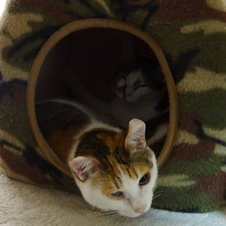 A6c38d0f 1909 4302 9c81 b25c9ad75d26 1703397008410