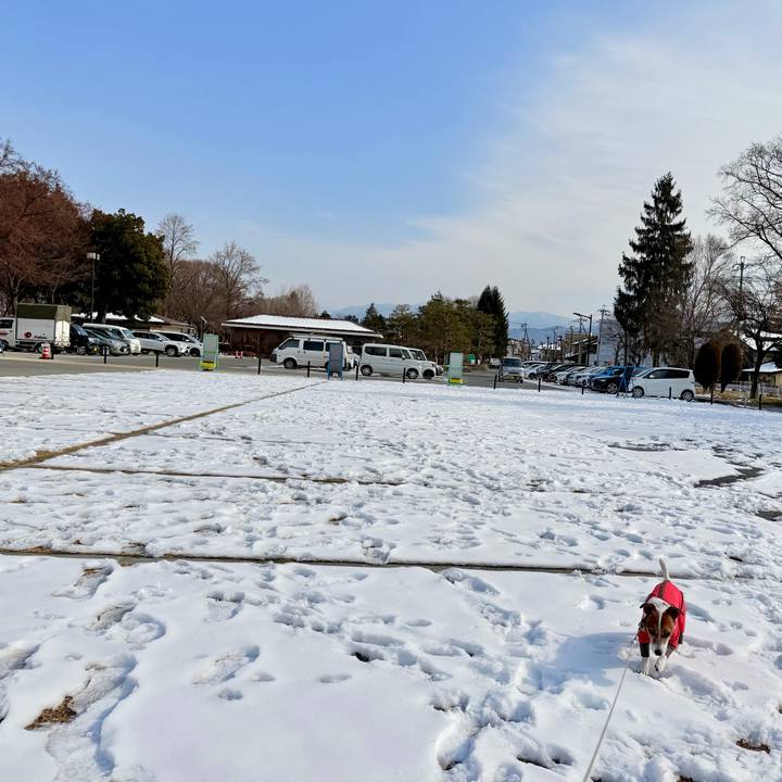 A6c3fbbe b762 4f34 a6b0 b443e8c67a0b 1768472759592