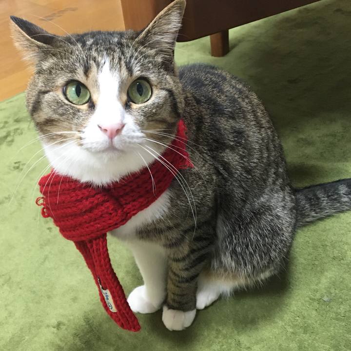 A6c41072 5e23 46e1 a054 217fbcac80bc 1703111628700