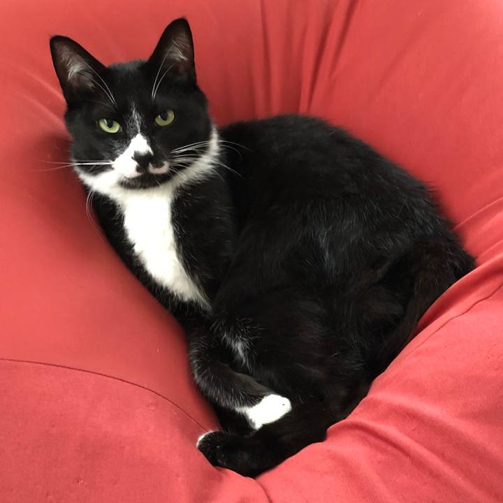 A6c41492 e828 4821 9acf 959200d1139c 1529225660059