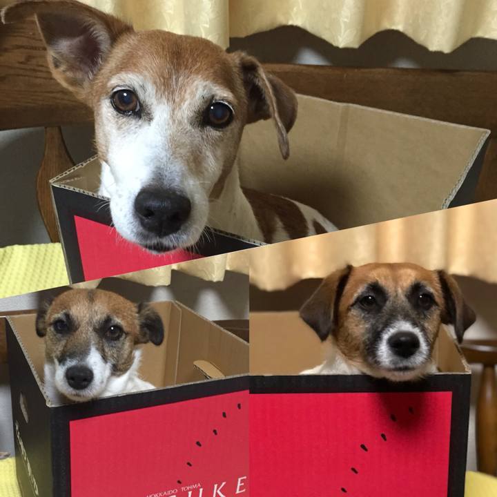 A6c41724 bb05 45de a3fa 1cd3ae5e6271 1531407229633