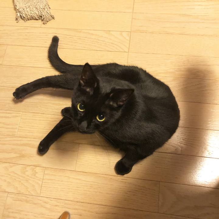 A6c4322e 3353 436f 9c75 dcbe6c2d2727 1576585783152