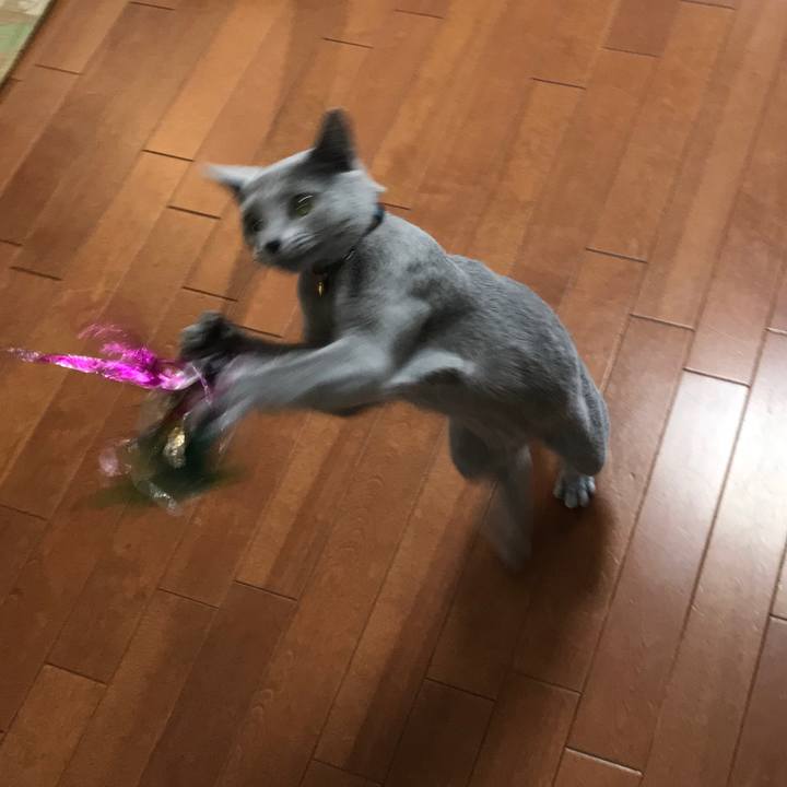 A6c4493f 83fe 4783 b976 3559c82b7509 1521114889359