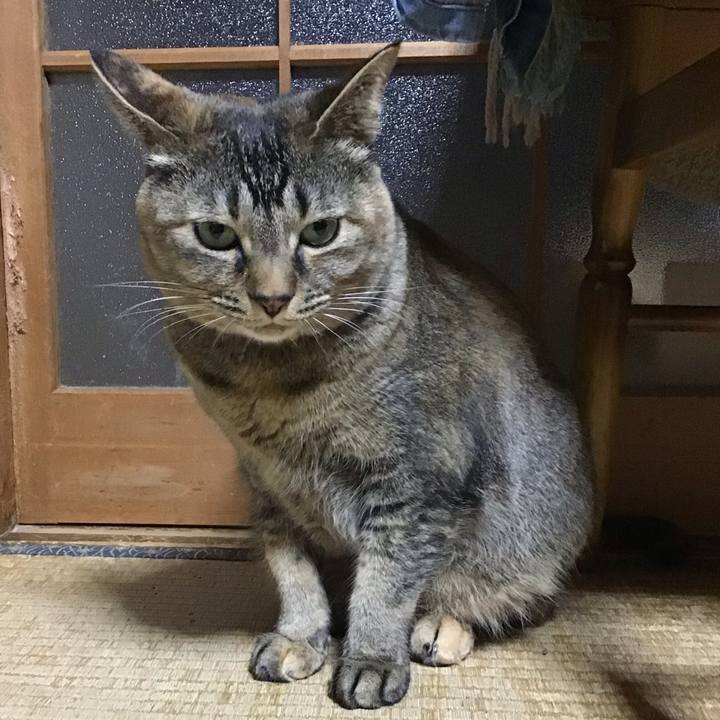 A6c45530 a27e 48d5 ae72 4c7a7bb8a423 1681130751389