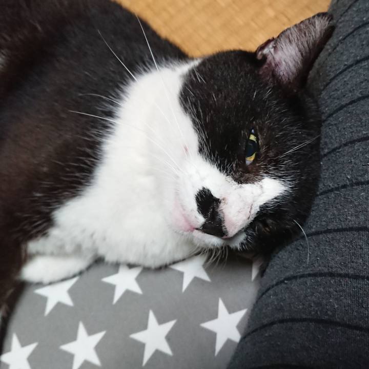 A6c4bc27 549e 480b 8fd2 ee85655d06d5 1541562484498