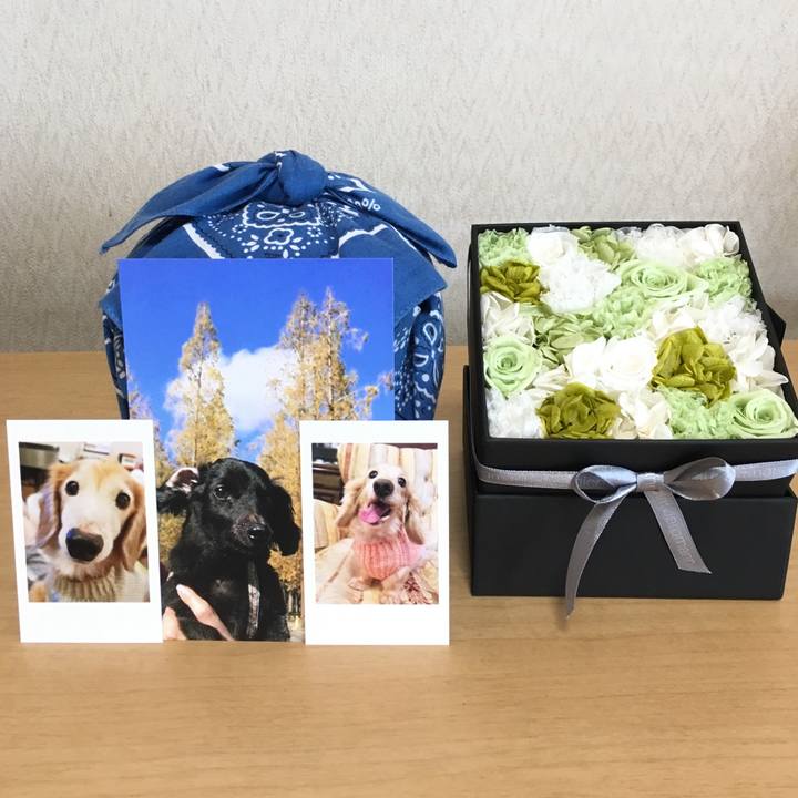 A6c4f836 5770 404f a3c4 848a8513ee50 1561532555080