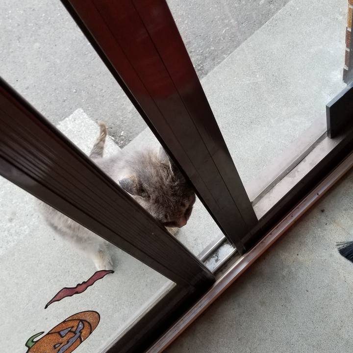 A6c5040d 544b 4775 aed9 52b36c246ab7 1526722086685