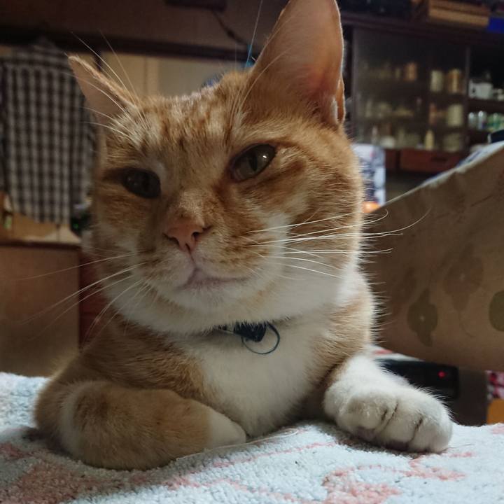 A6c54dc2 7689 4672 9dca 0f58218fe234 1605173659958