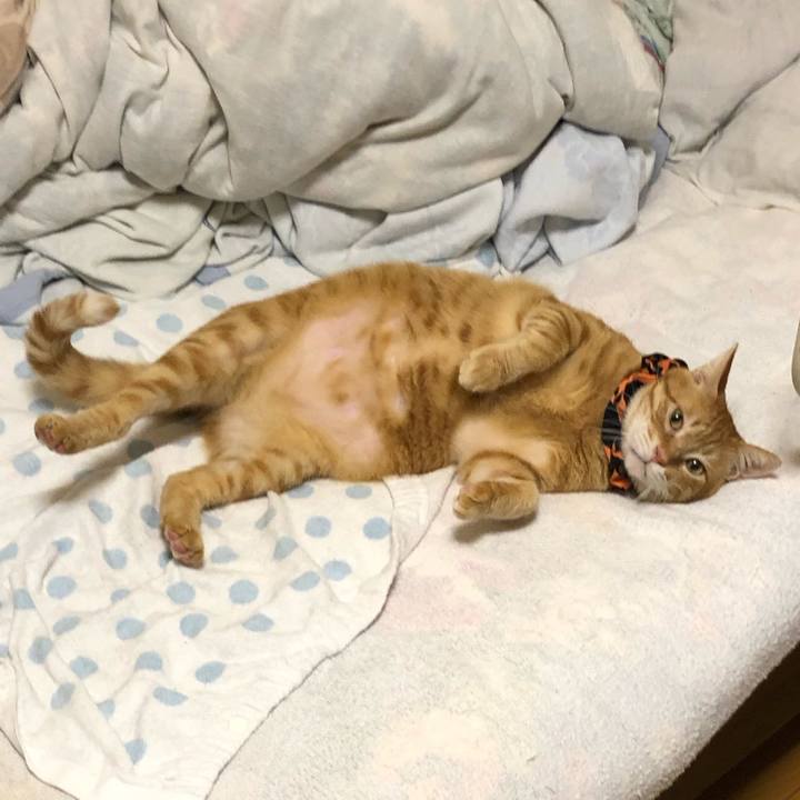 A6c55963 14d9 4b49 bad4 40e836c7851b 1571826942630