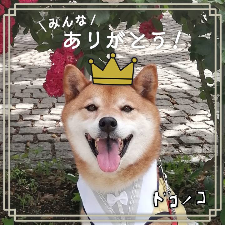 A6c563a0 8230 4fe4 aeb6 2fff4cd7d62f 1622854091870