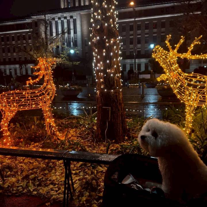 A6c56baf 4739 45c3 810f 1d5e6e70c675 1765707727937