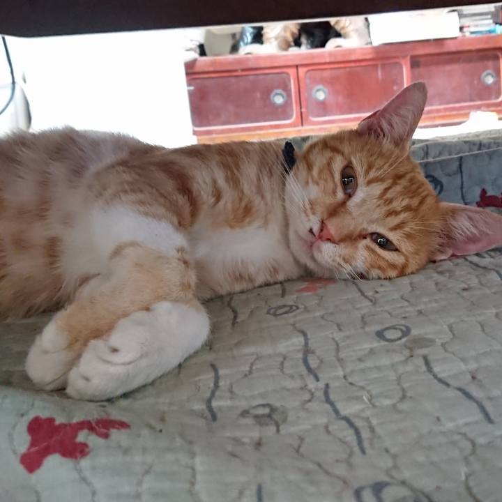 A6c57b1d 8c47 4adb 96f6 96204f436bf3 1563151896333