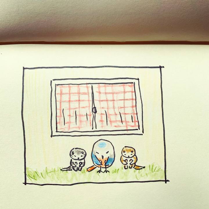 A6c59e28 24f8 433b ae34 aa412e0b984d 1677200900766