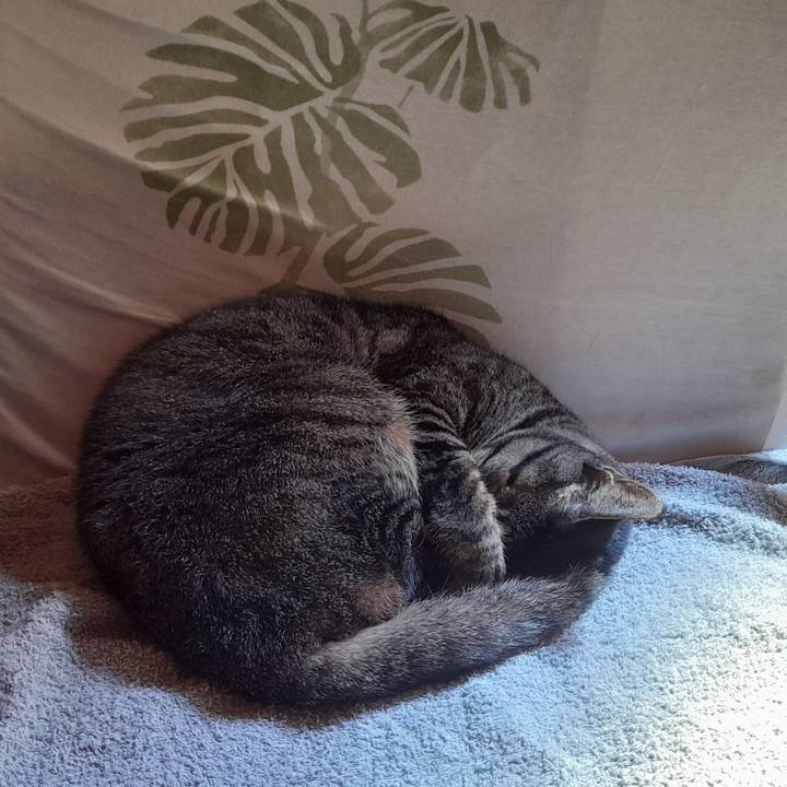 A6c5a642 9800 4e22 9e29 2af177c3d28c 1755824792469