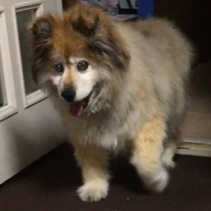 A6c5ae3d 6d53 403f 8446 fc4abd1df381 1577324773421