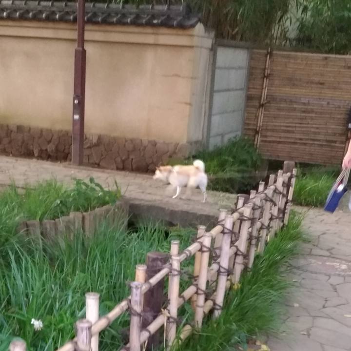 A6c5b177 afc4 45b8 995f 09686d86b1b6 1598177560236