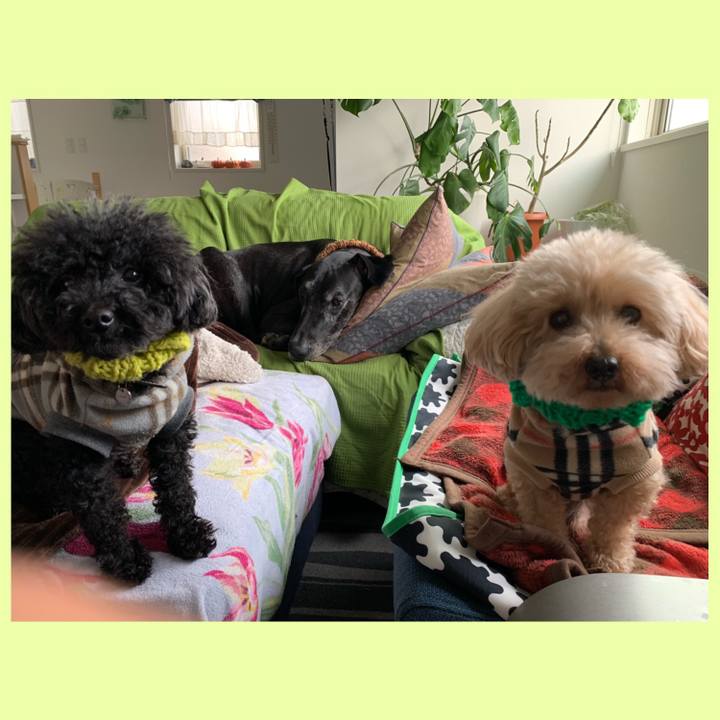 A6c5ca90 81a4 4696 825b 6334ab1fd752 1549868197271