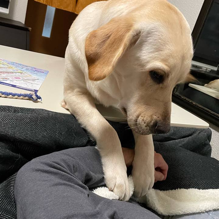 A6c5e6be d01f 4b35 812d 47b1f964032b 1640526197025