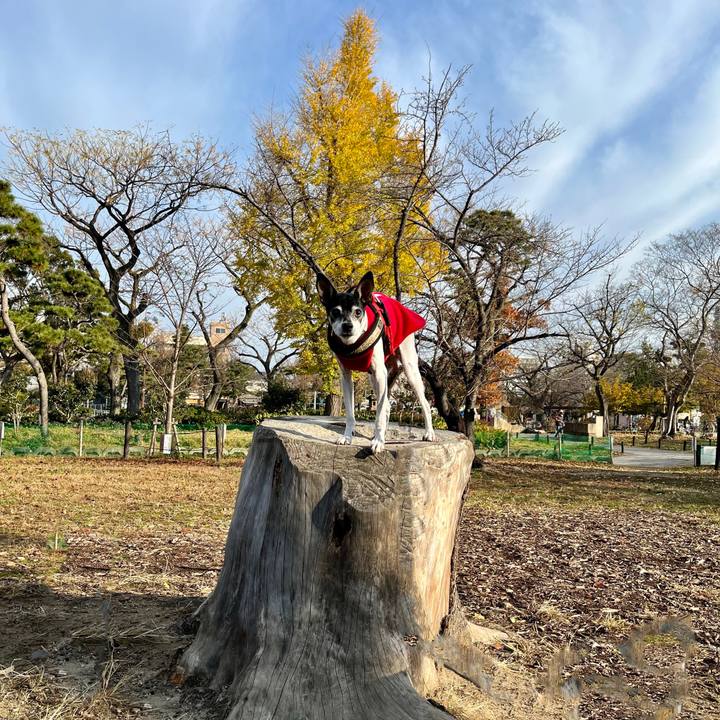 A6c6186f 12bf 4b1c 887c 2a659a2a85c7 1639636338588