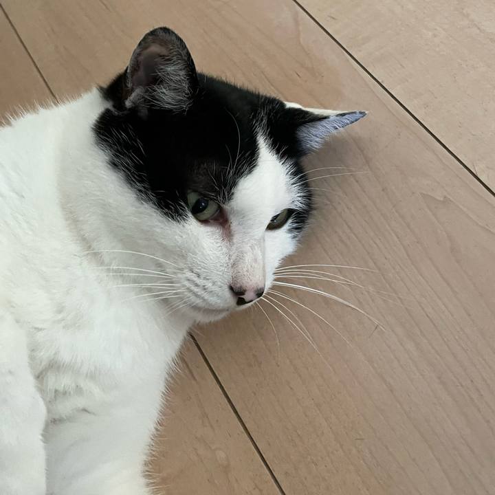 A6c649c9 6ff9 4f6a 93e1 60a3816cdde3 1660213379901