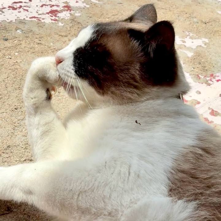 A6c68496 f059 4361 afb1 7c6d24dc25ac 1745983389765