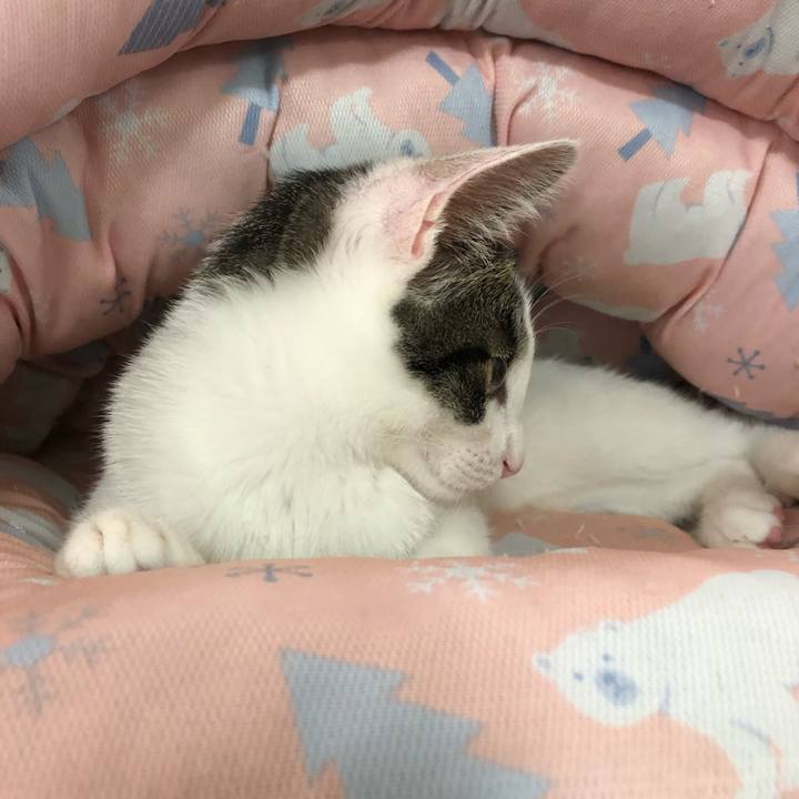 A6c6d33f 67c4 4391 9257 c781c8c589b9 1568593047018