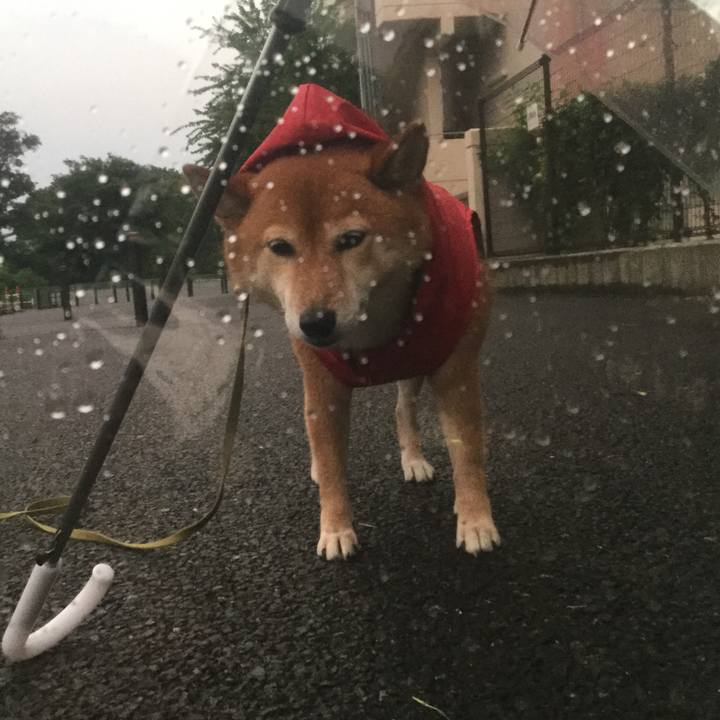 A6c6d4be 3a87 4b7f 85c7 04b3bab98406 1562850874848